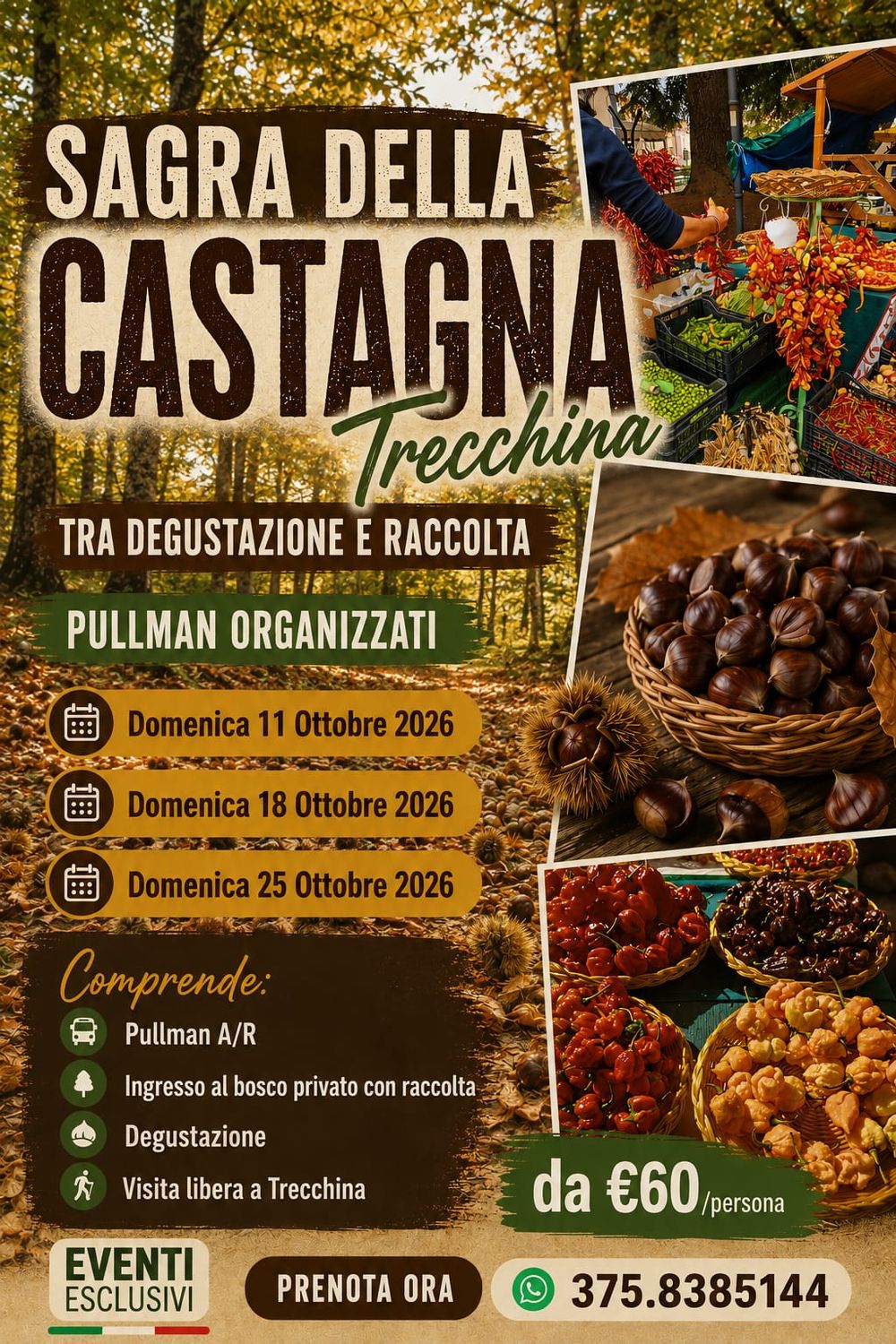 SAGRA DELLA CASTAGNA A TRECCHINA 🌰🍂 "Domenica 11-16-25 Ottobre 2026" Pullman Organizzati 🚌