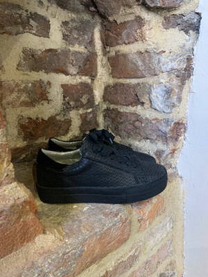Hip Shoes Style Piton Sneaker - Black (outlet) Hip Shoes Style Piton Sneaker - Black (outlet)