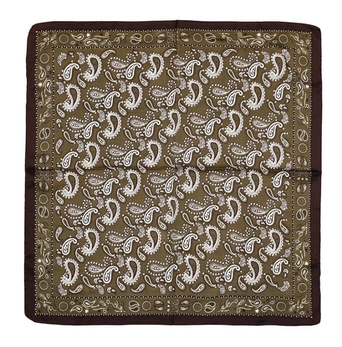 Scarf Paisley - Green Brown