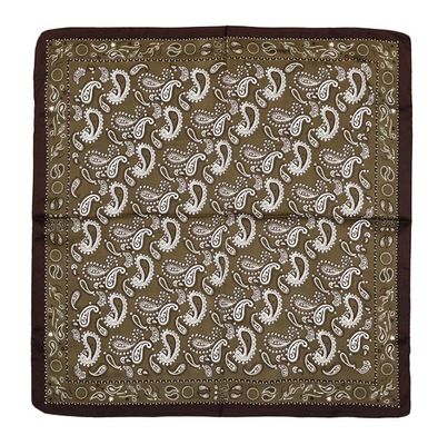 Scarf Paisley - Green Brown