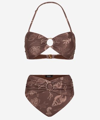 Ibana Bikini Alcye | Shell Marrón