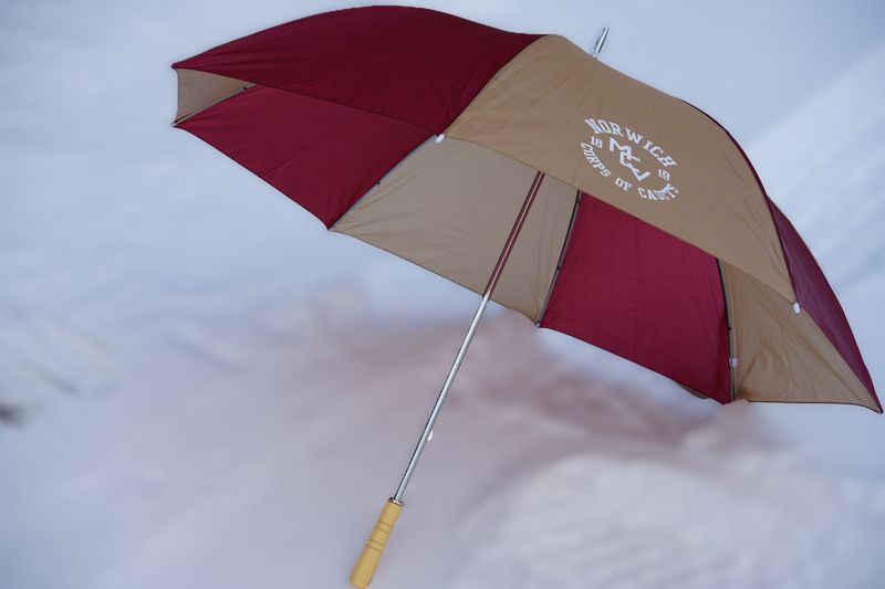 Large Umbrella Maroon &amp; Gold