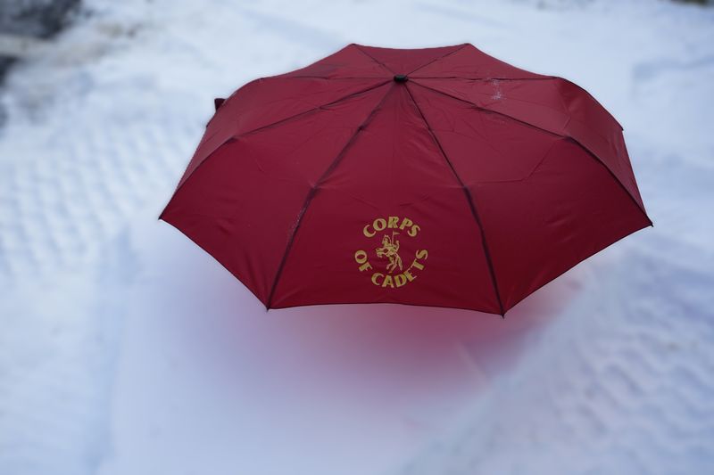 Small Maroon Horseman Umbrella