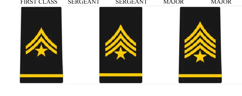 retired Norwich corps of cadet ranks