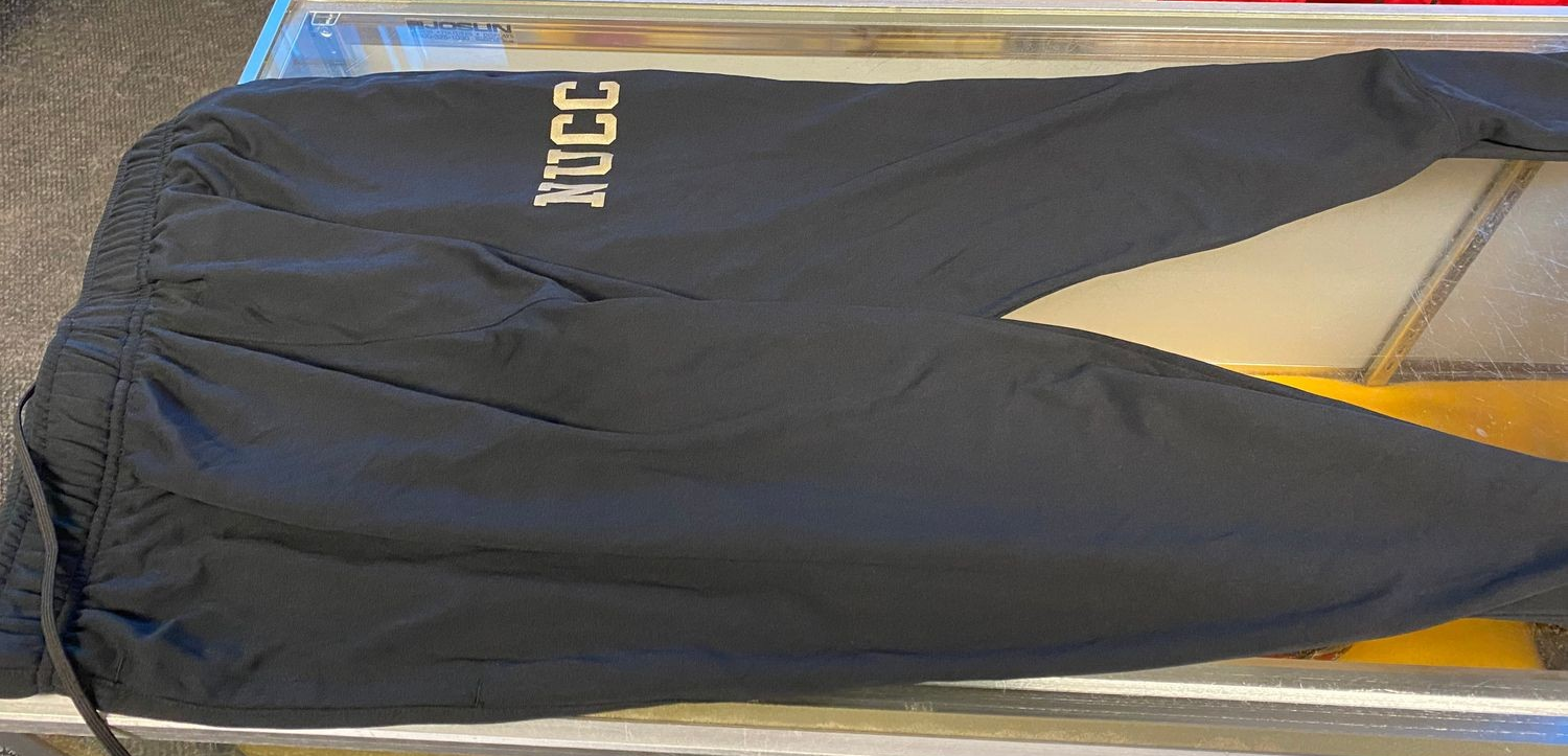 Old Issue PT Running Pants (Badger)