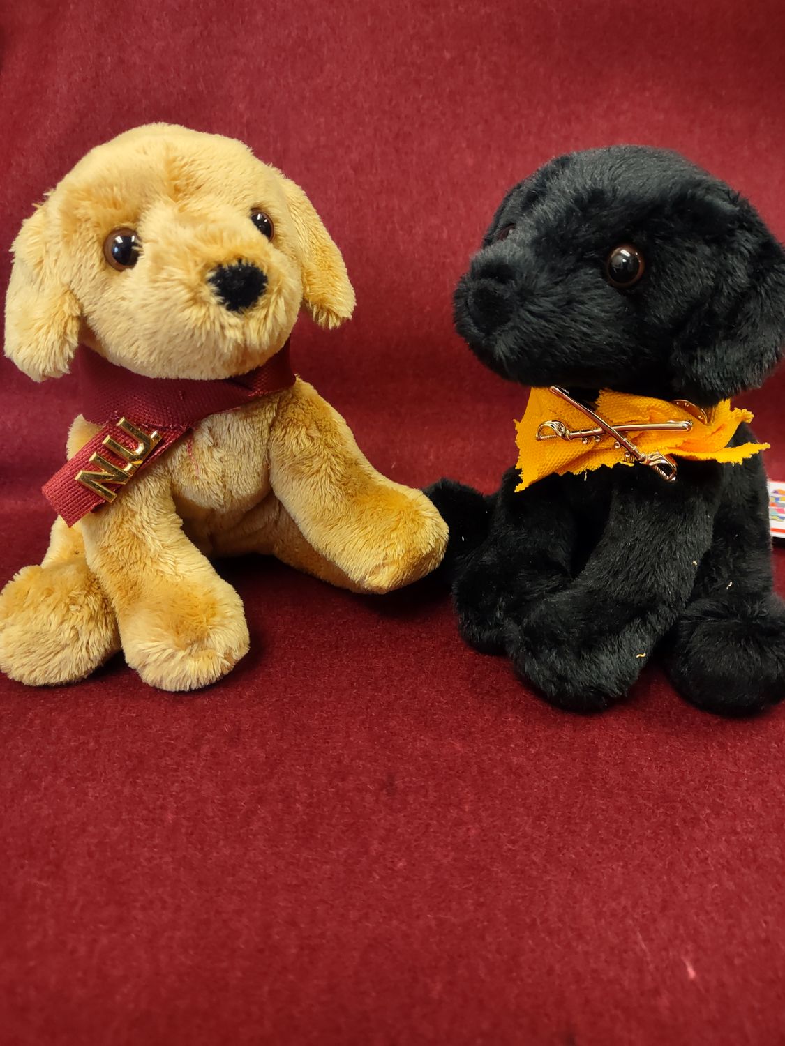 Custom adorned pups