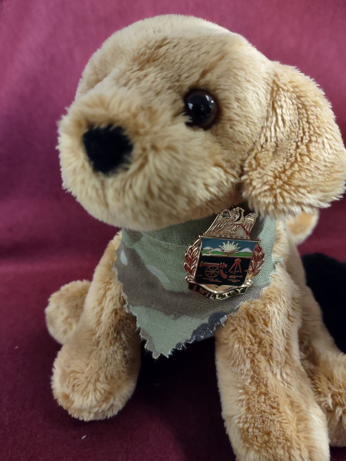 Custom adorned pups