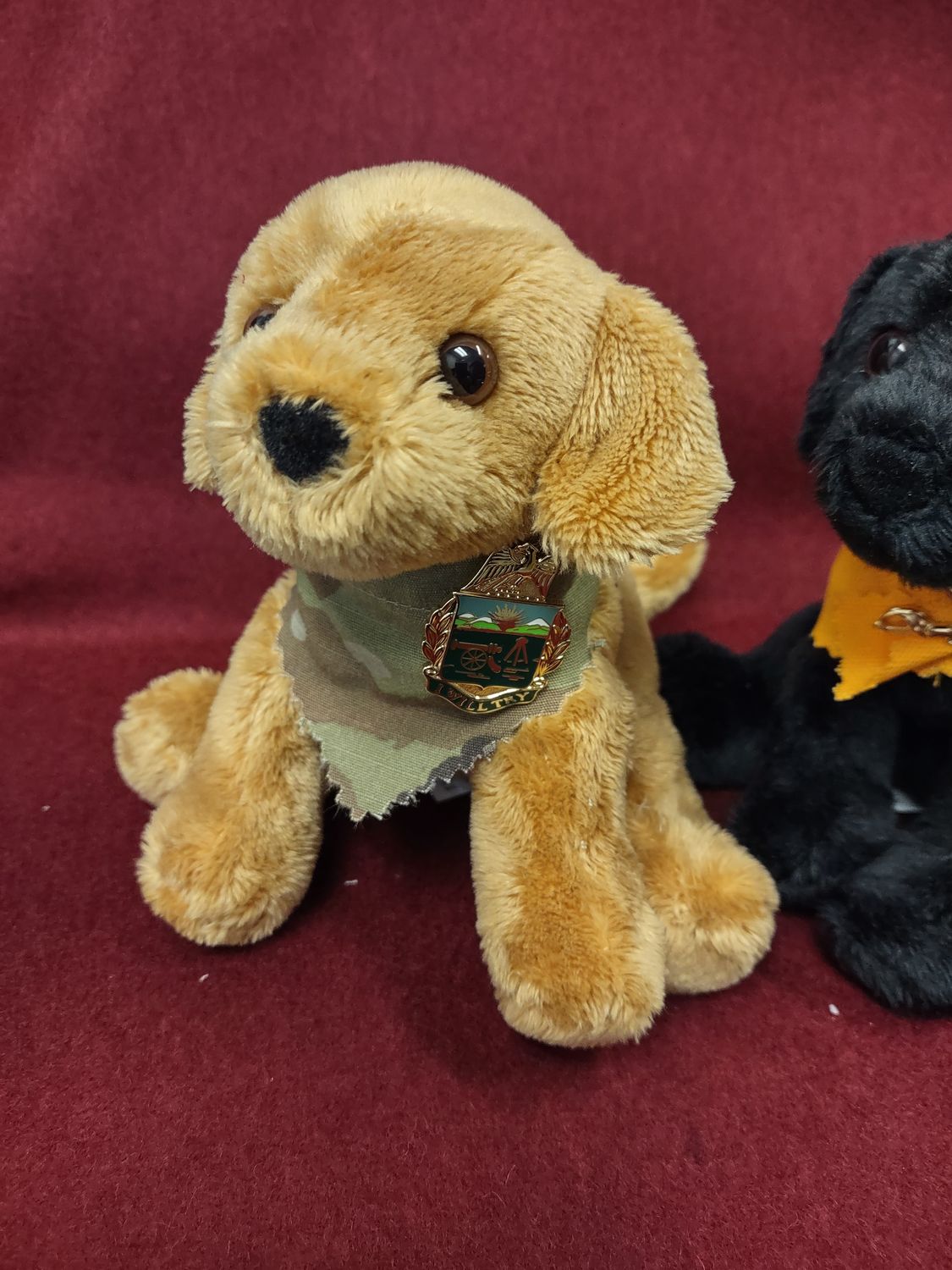 Custom adorned pups