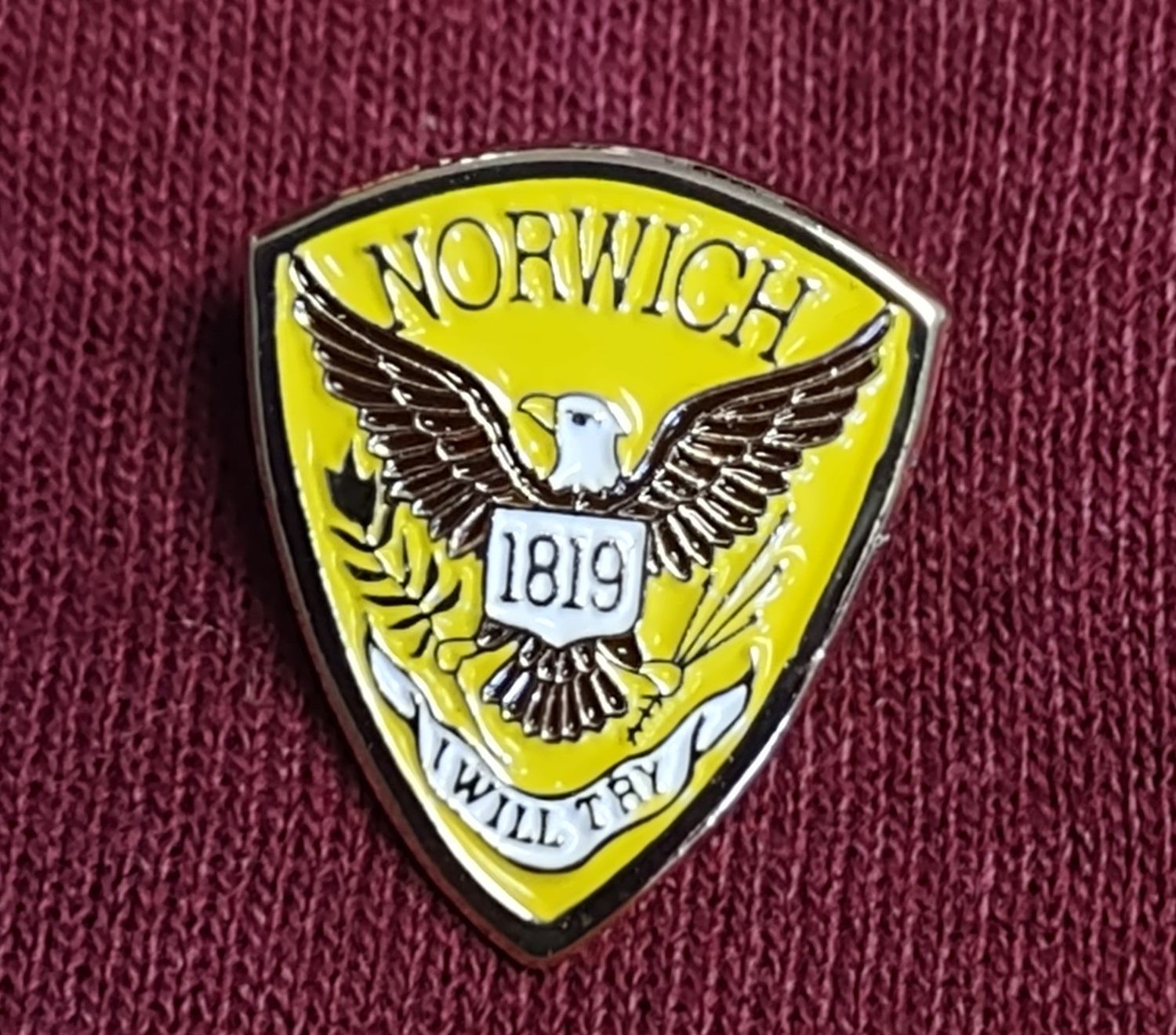 Norwich Lapel Pin