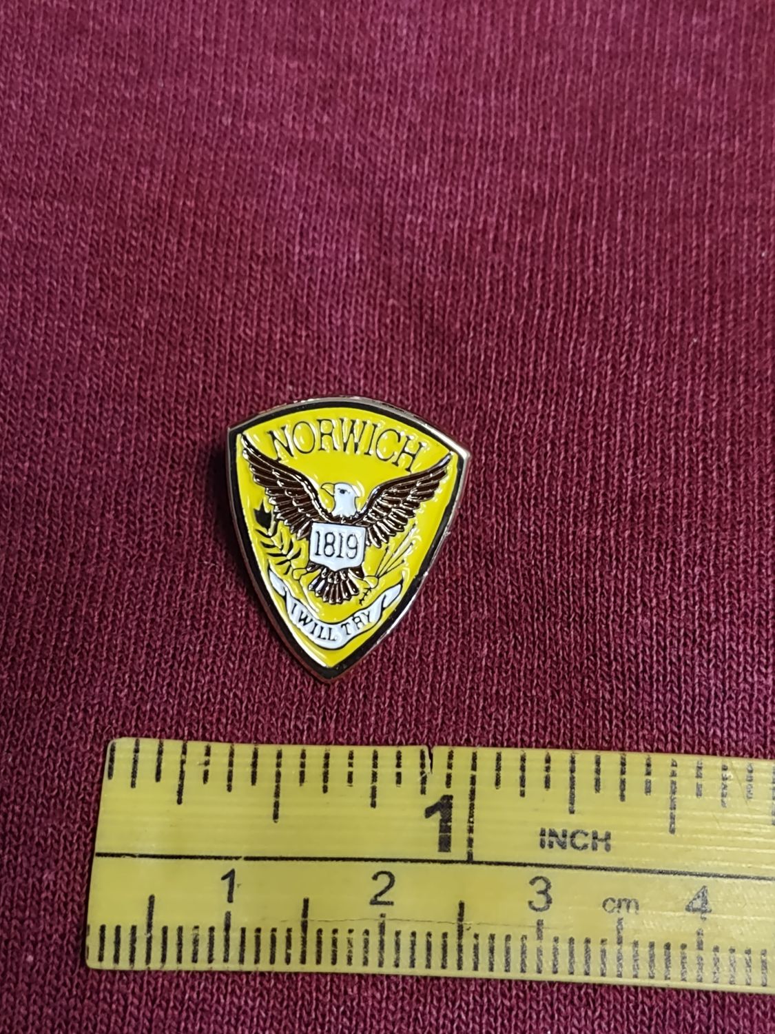 Norwich Lapel Pin
