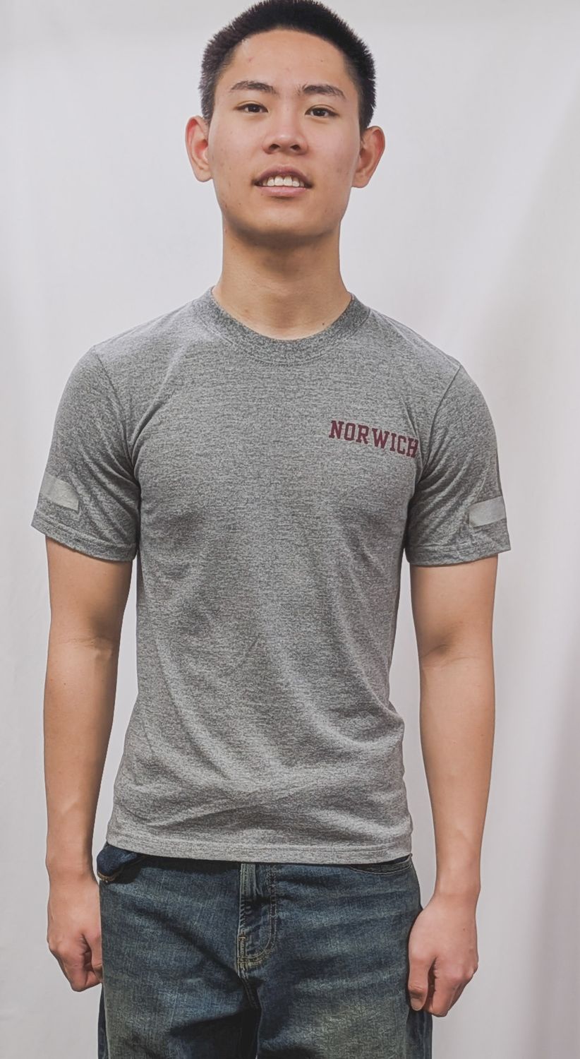 Old Issue PT Shirt Grey