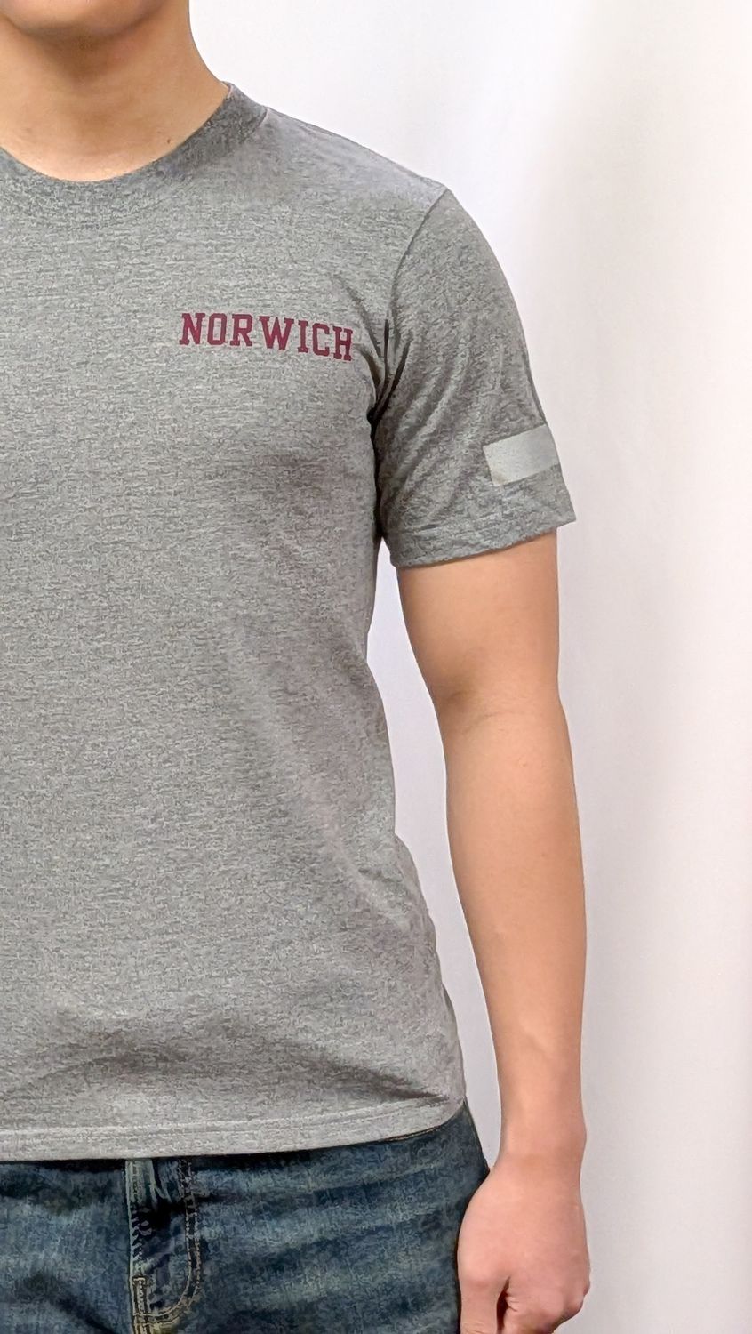 Old Issue PT Shirt Grey