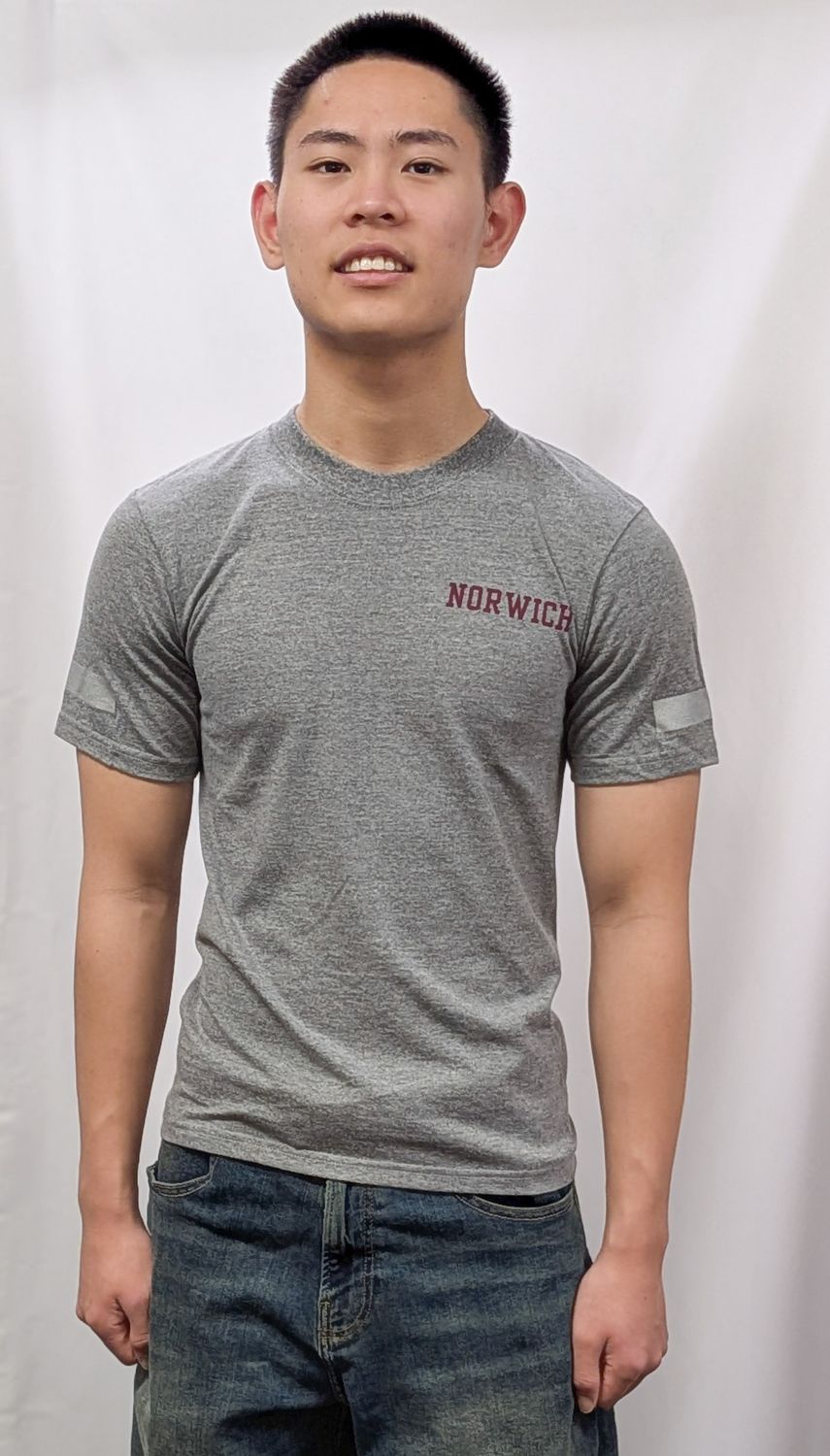 Old Issue PT Shirt Grey