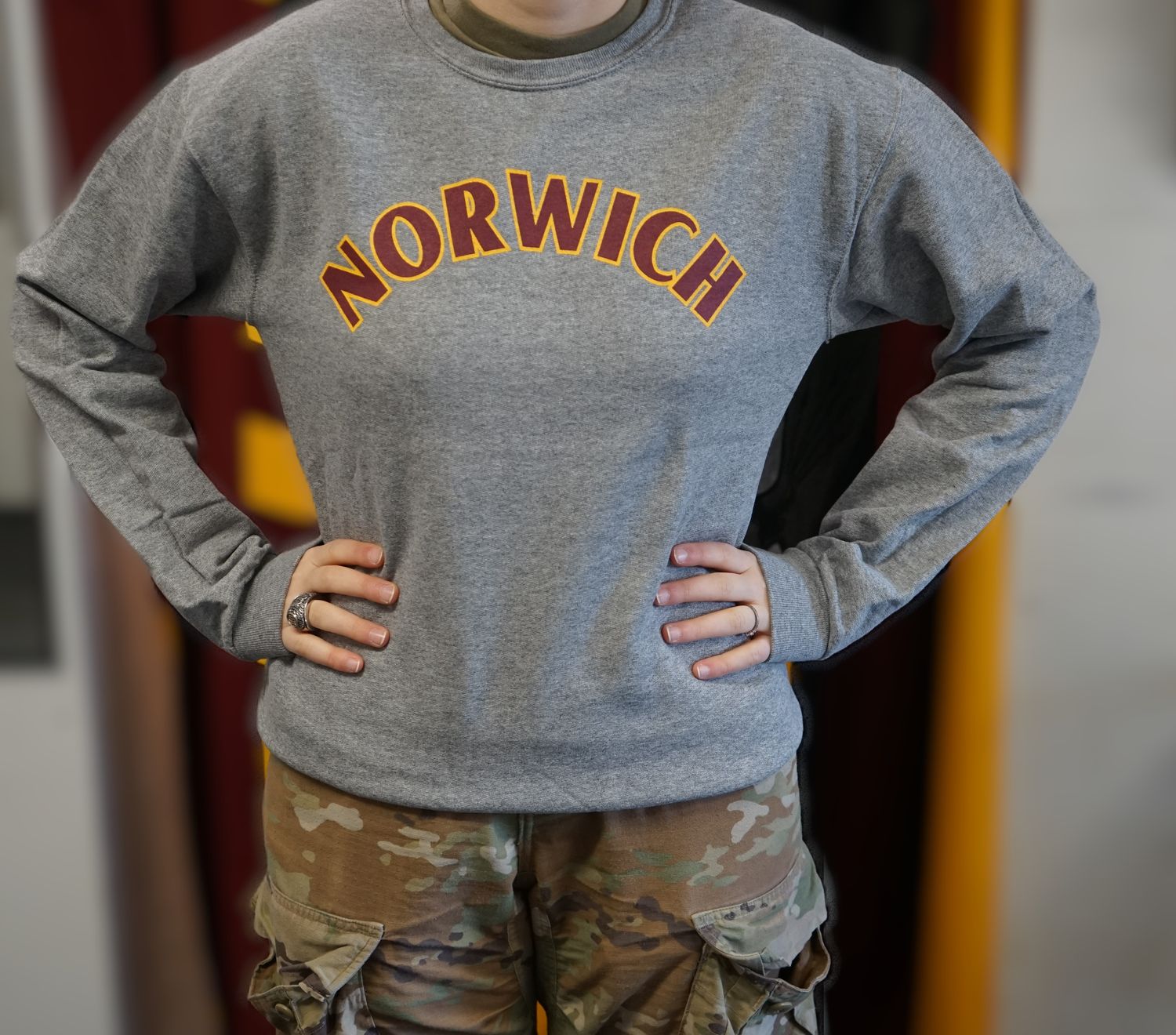 Sweatshirt - Grey Crew Neck