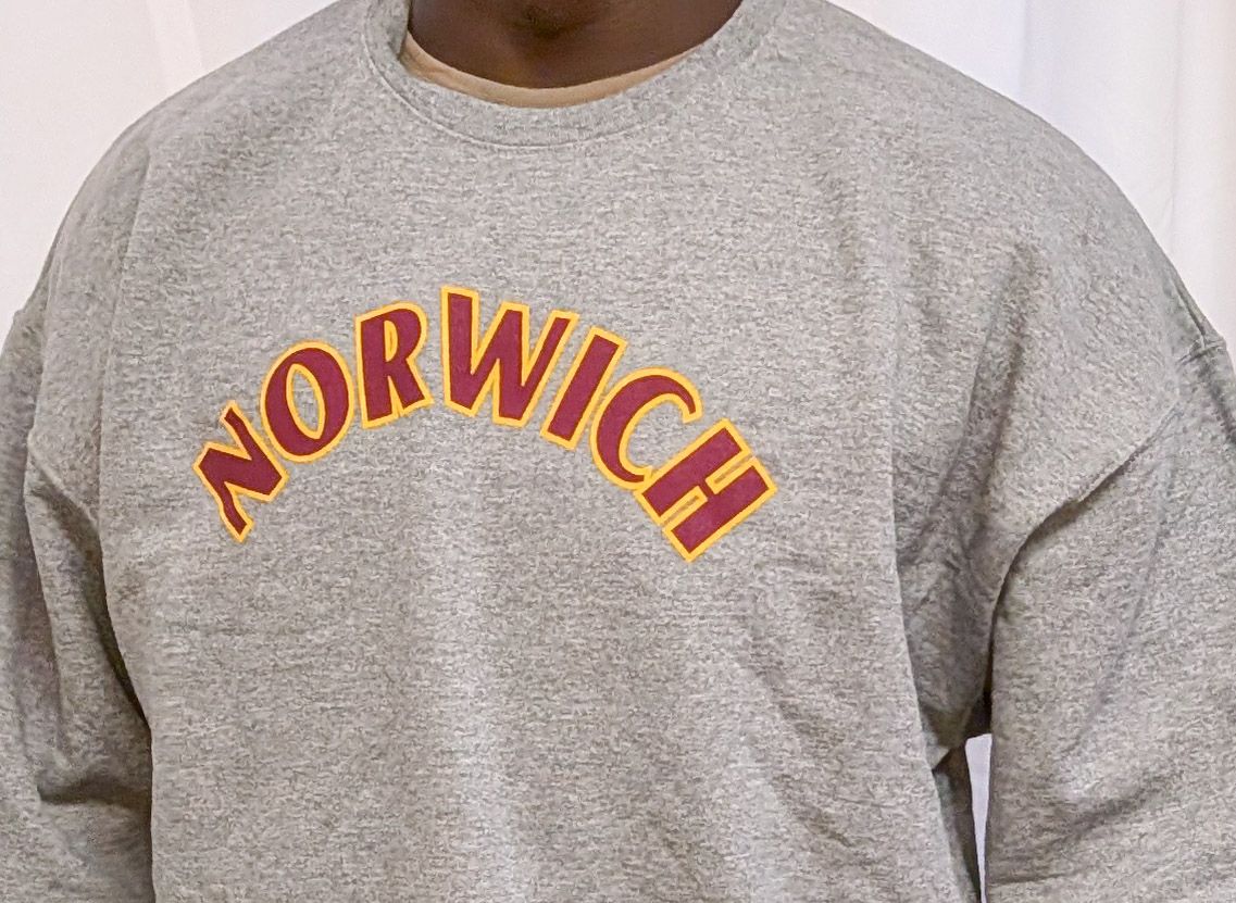 Sweatshirt - Grey Crew Neck