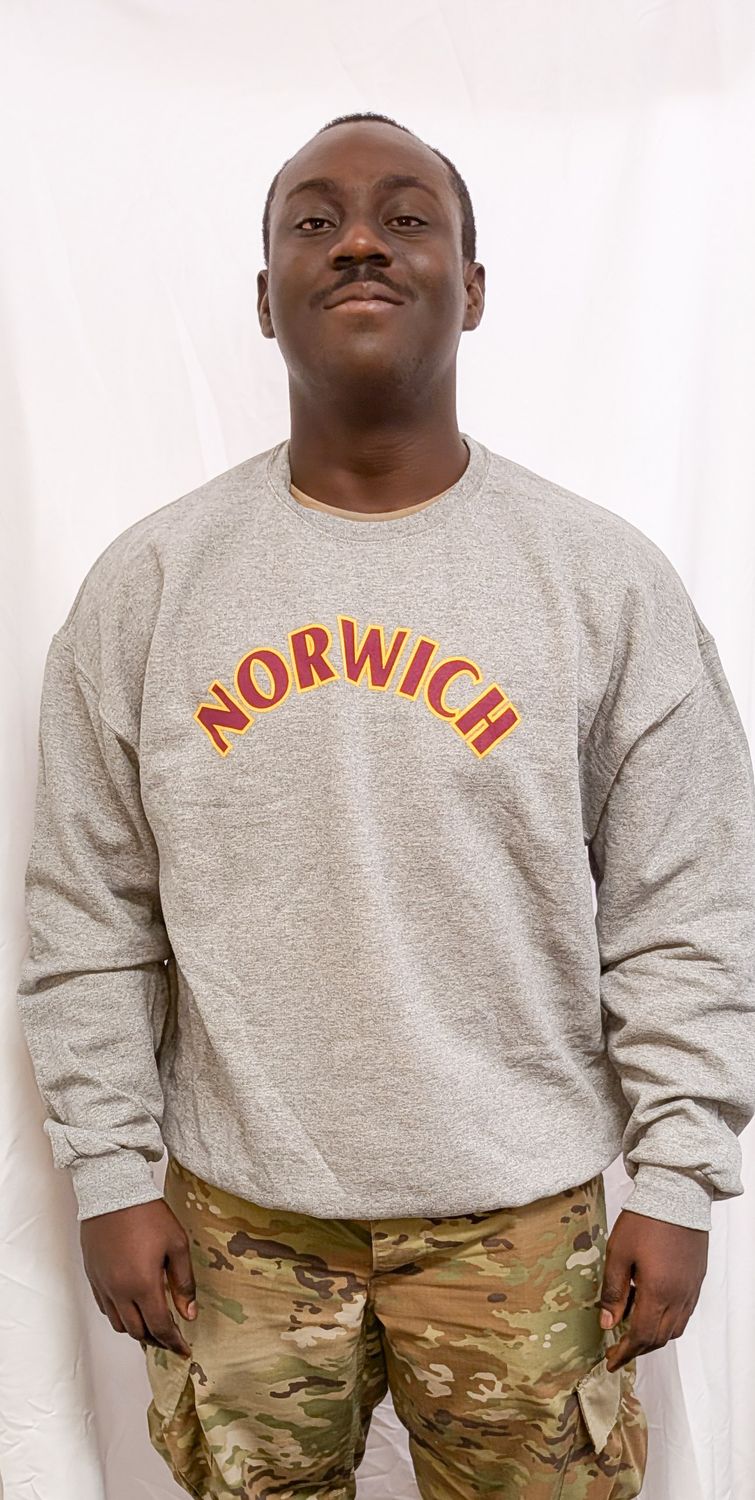 Sweatshirt - Grey Crew Neck