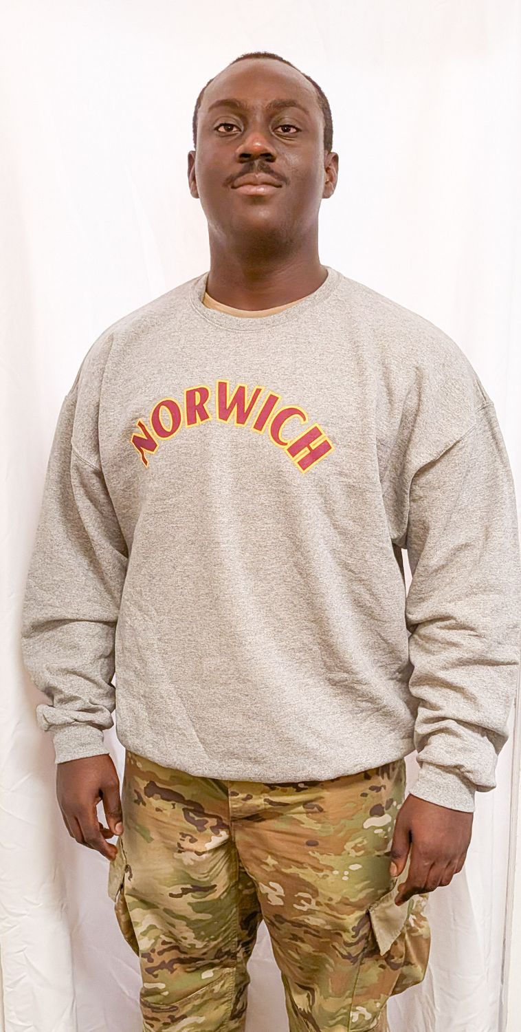 Sweatshirt - Grey Crew Neck