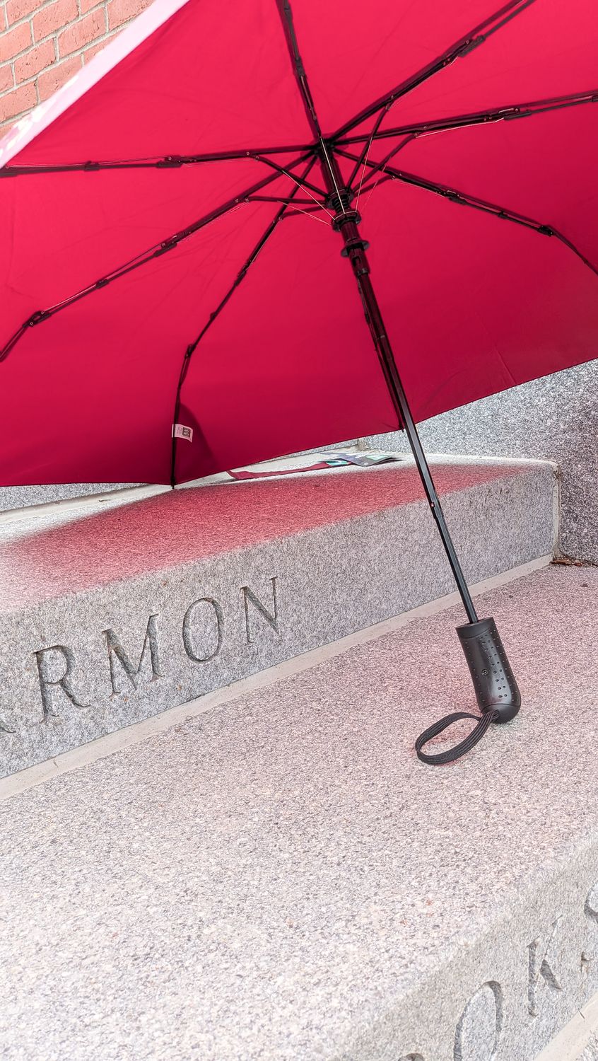 Small Maroon Horseman Umbrella