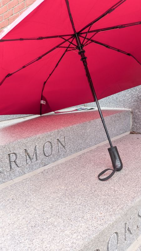 Small Maroon Horseman Umbrella