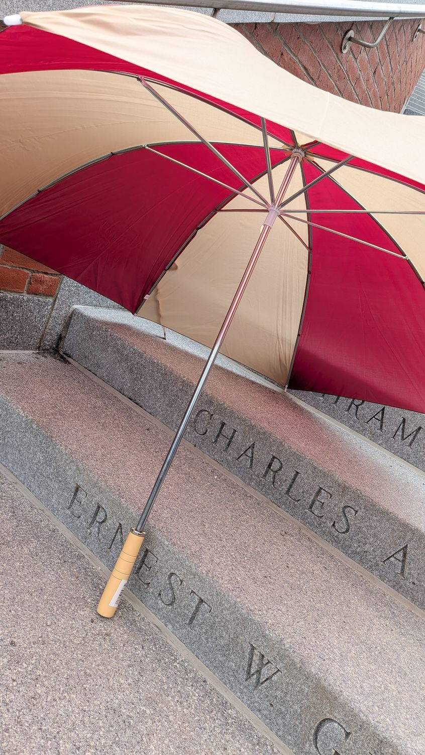 Large Umbrella Maroon and Gold