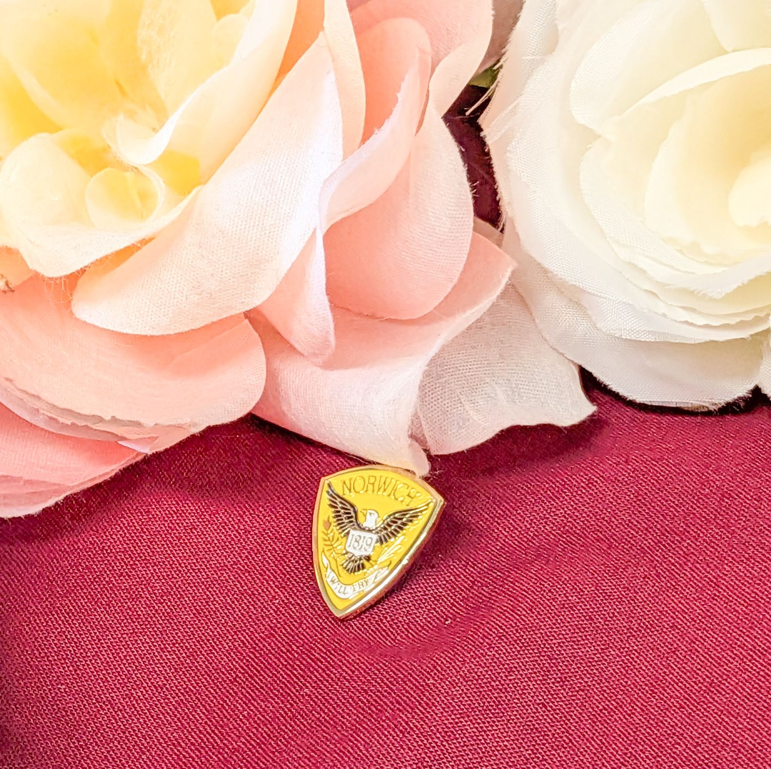 Norwich Lapel Pin