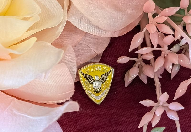 Norwich lapel pin