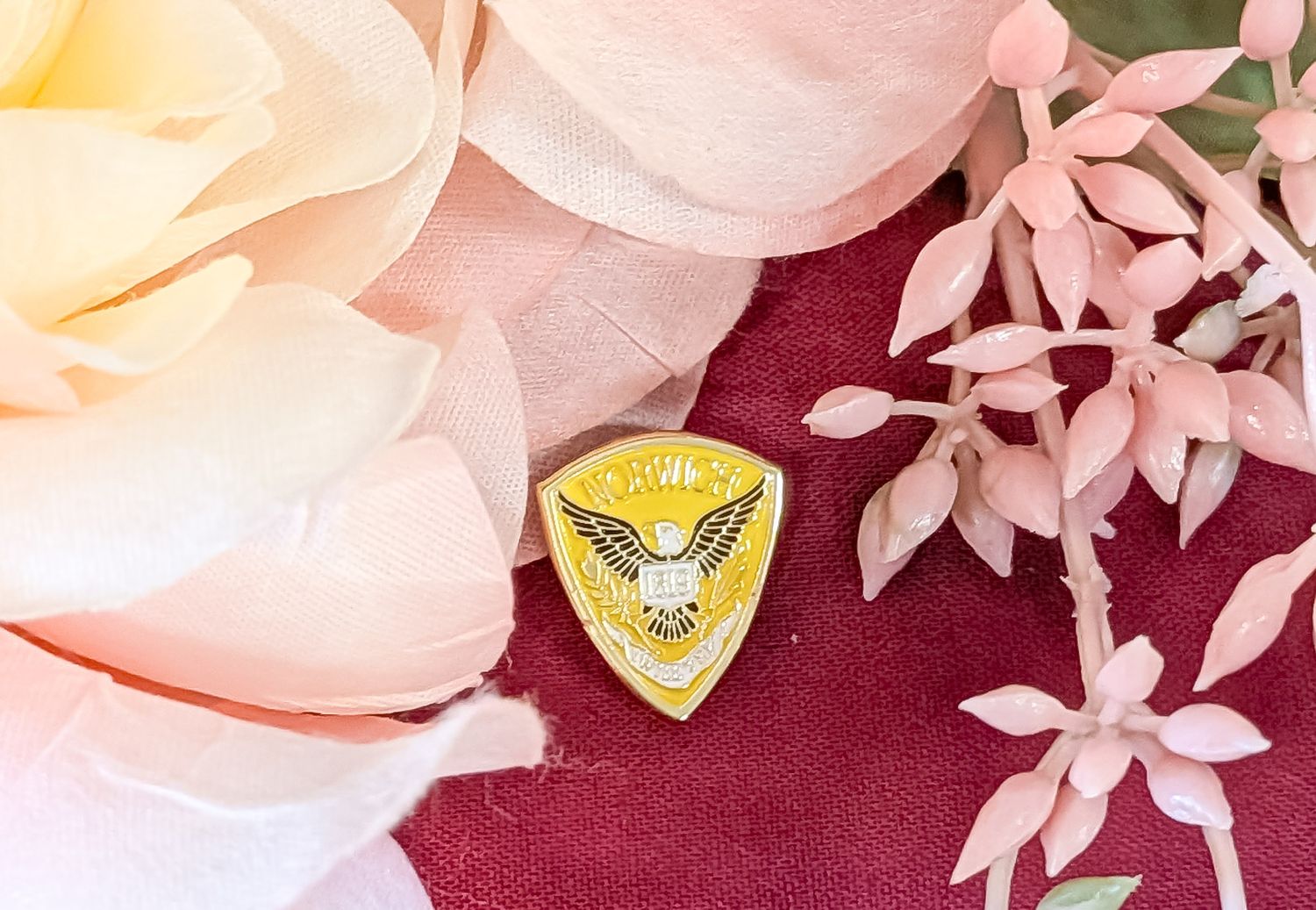 Norwich Lapel Pin