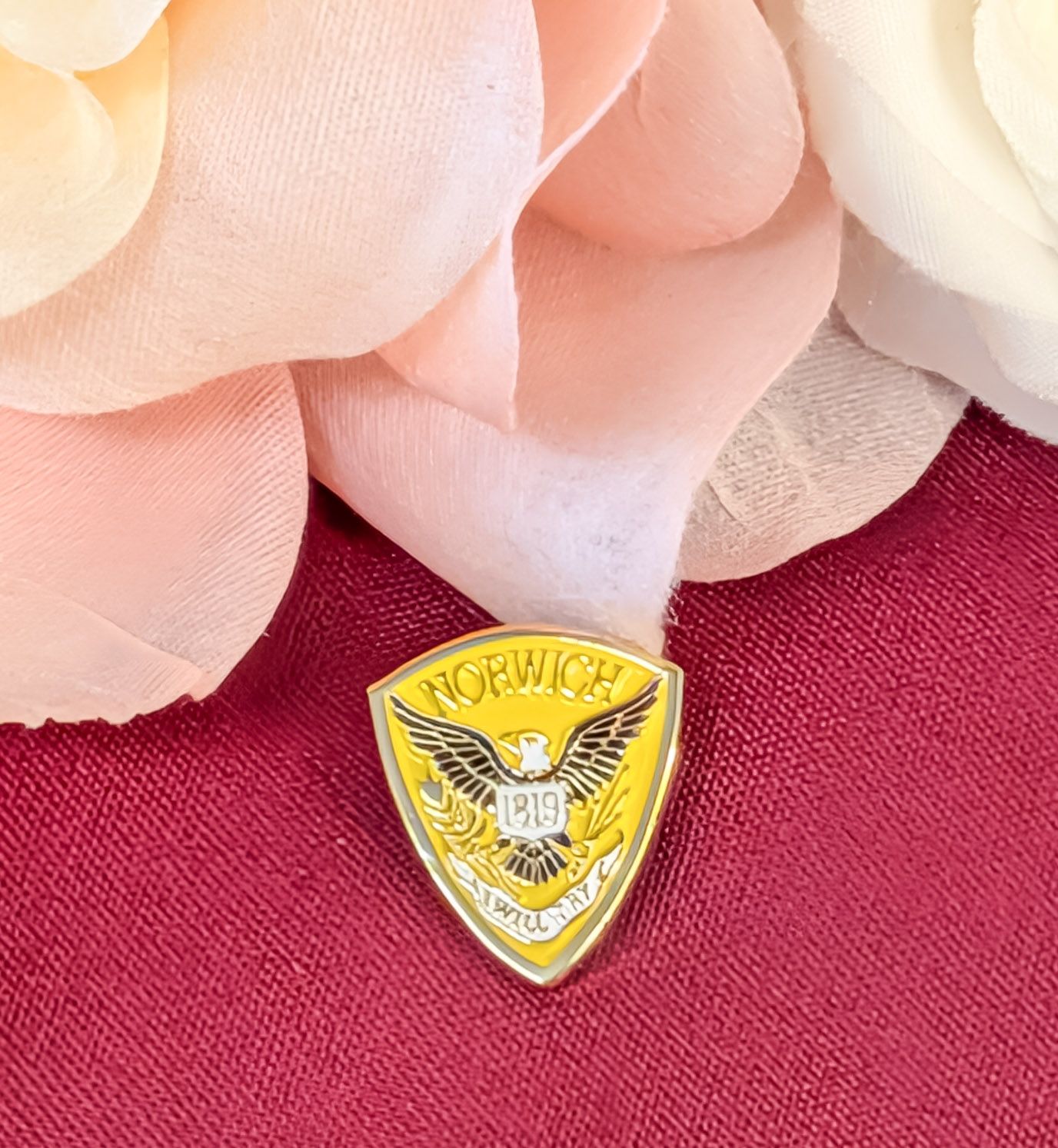 Norwich Lapel Pin
