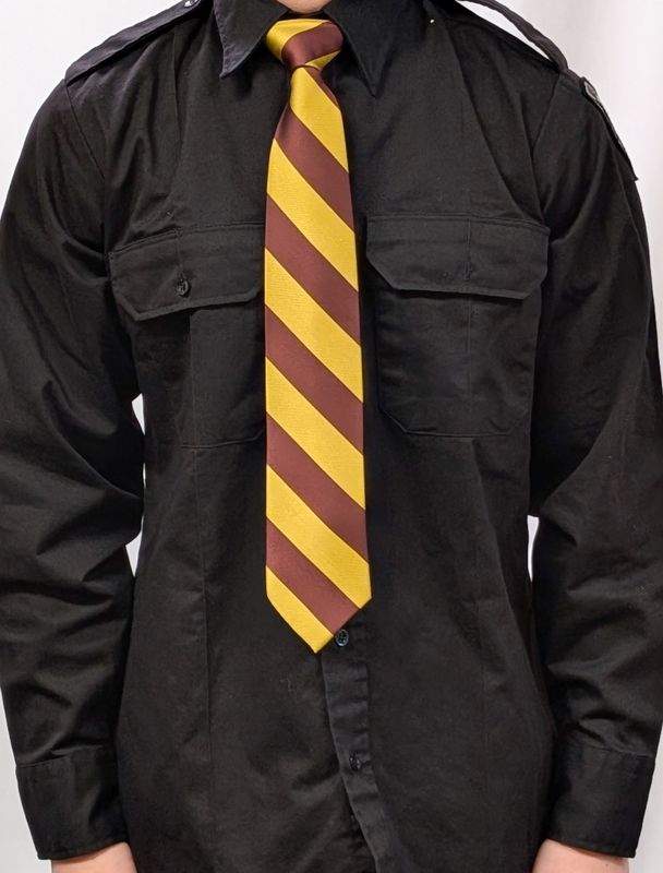 Regimental Neck Tie
