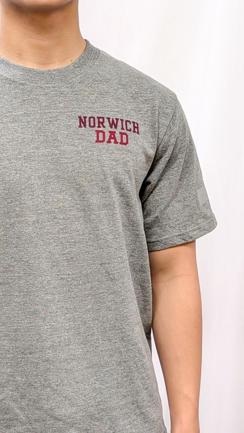 Grey PT Shirt "Norwich Dad"