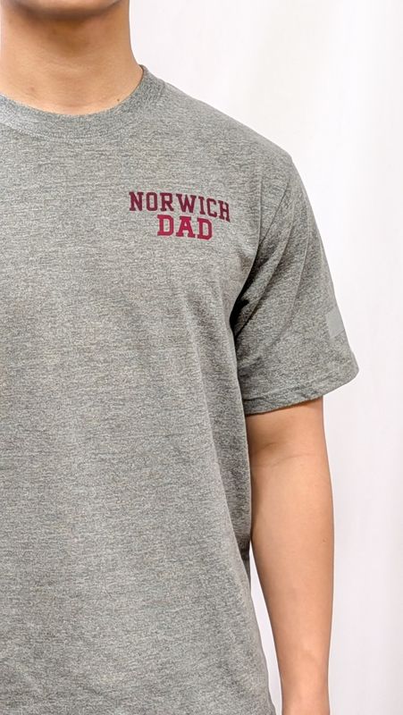 Grey PT Shirt "Norwich Dad"