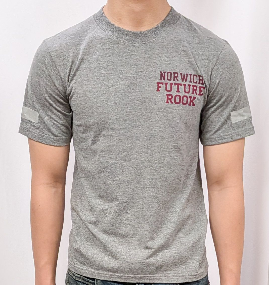 Grey PT Shirt "Future Rook"