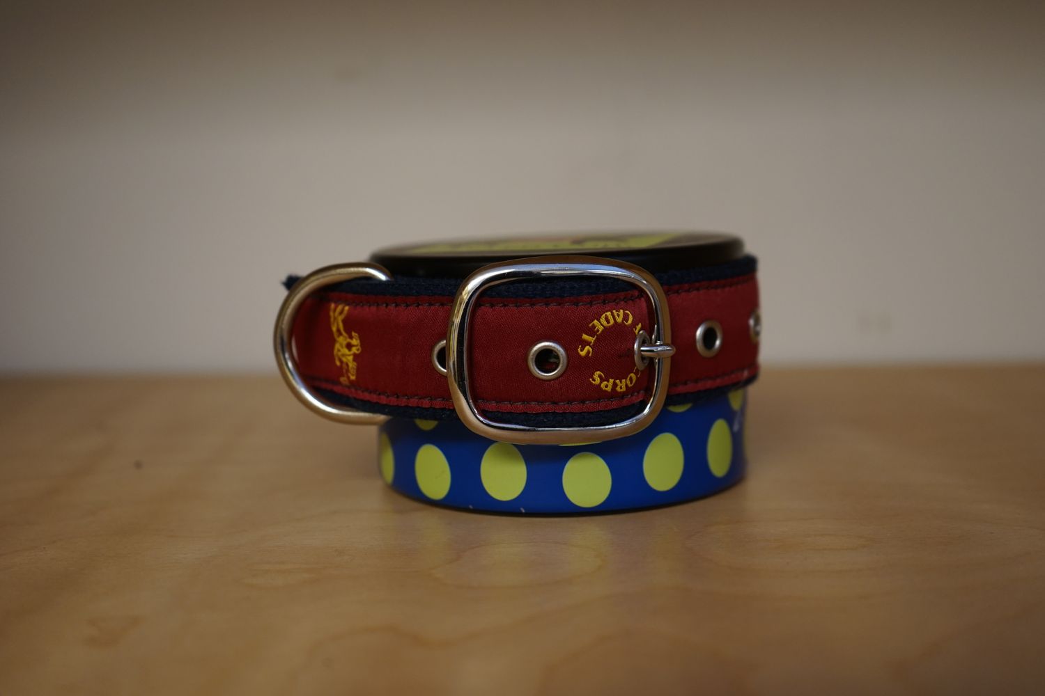 Belted Cow Dog Collar