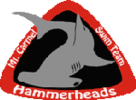 MT. CARMEL HAMMERHEADS