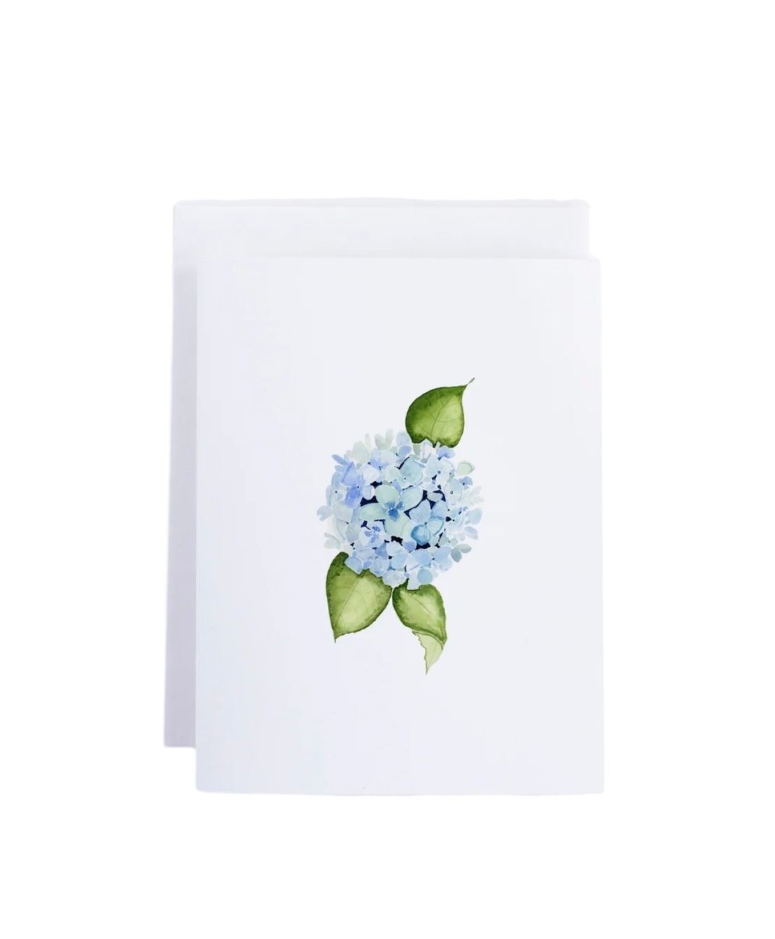 Hydrangea Single Notecard
