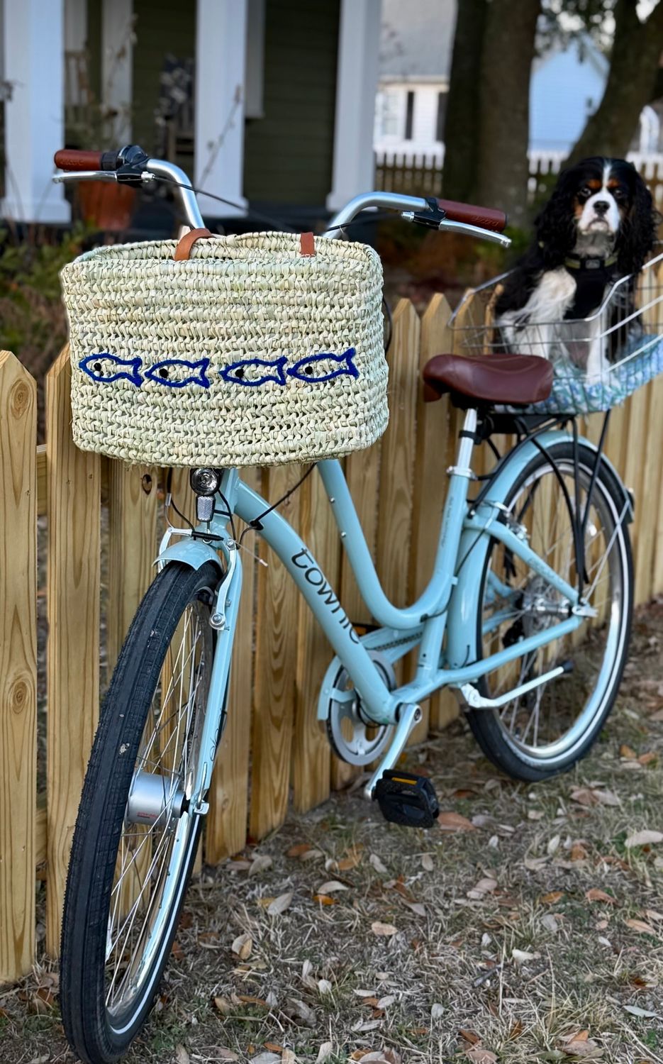 Fresh Catch Bike Basket
