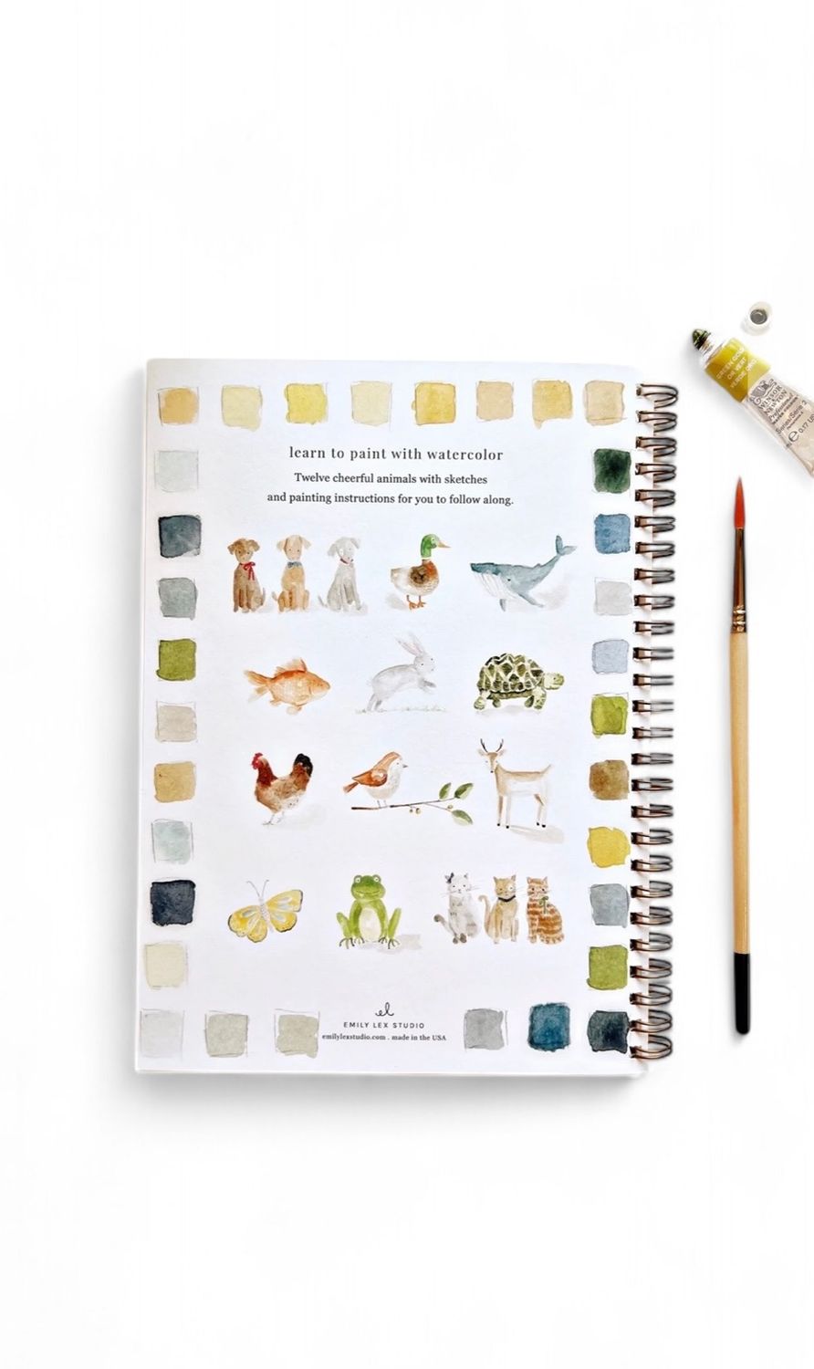 Animals Watercolor Work Book