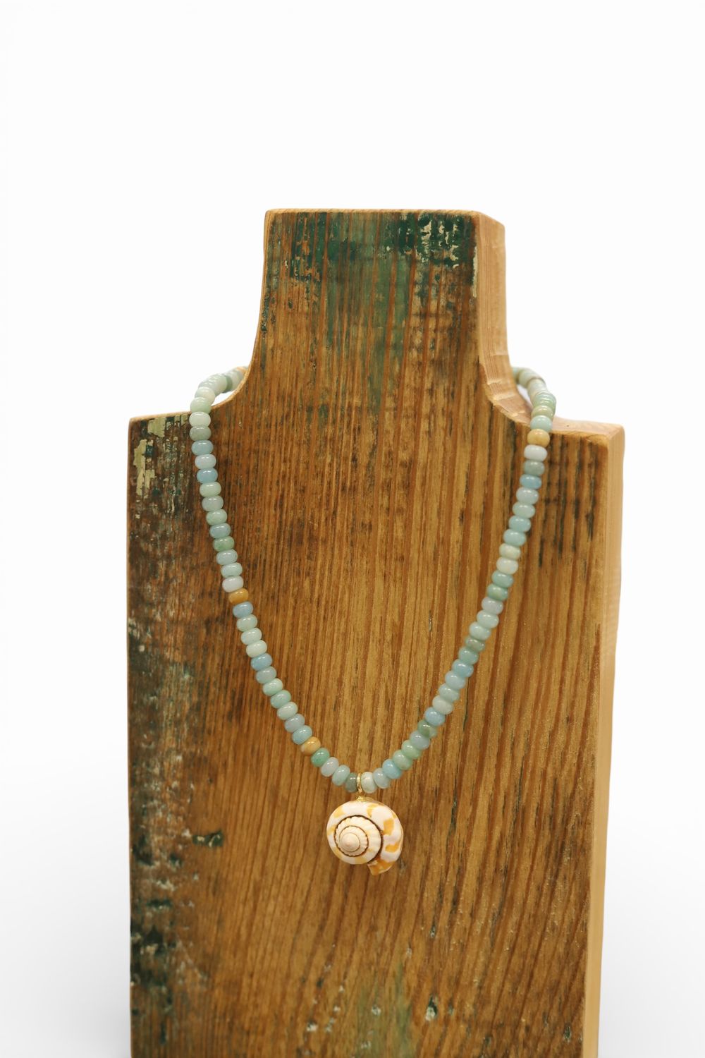 Lagoon &amp; Spiral Shell Strand