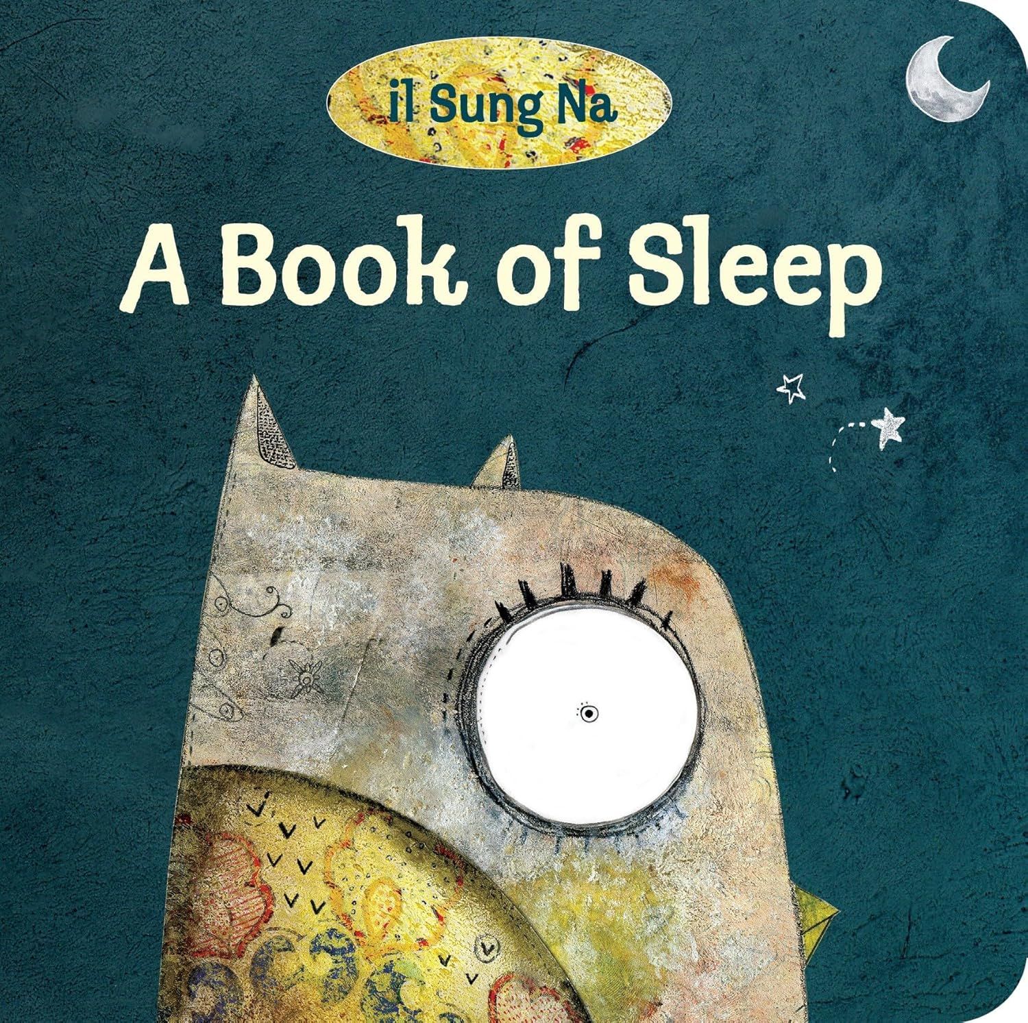 A Book Of Sleep
