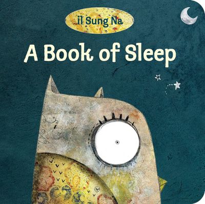 A Book Of Sleep