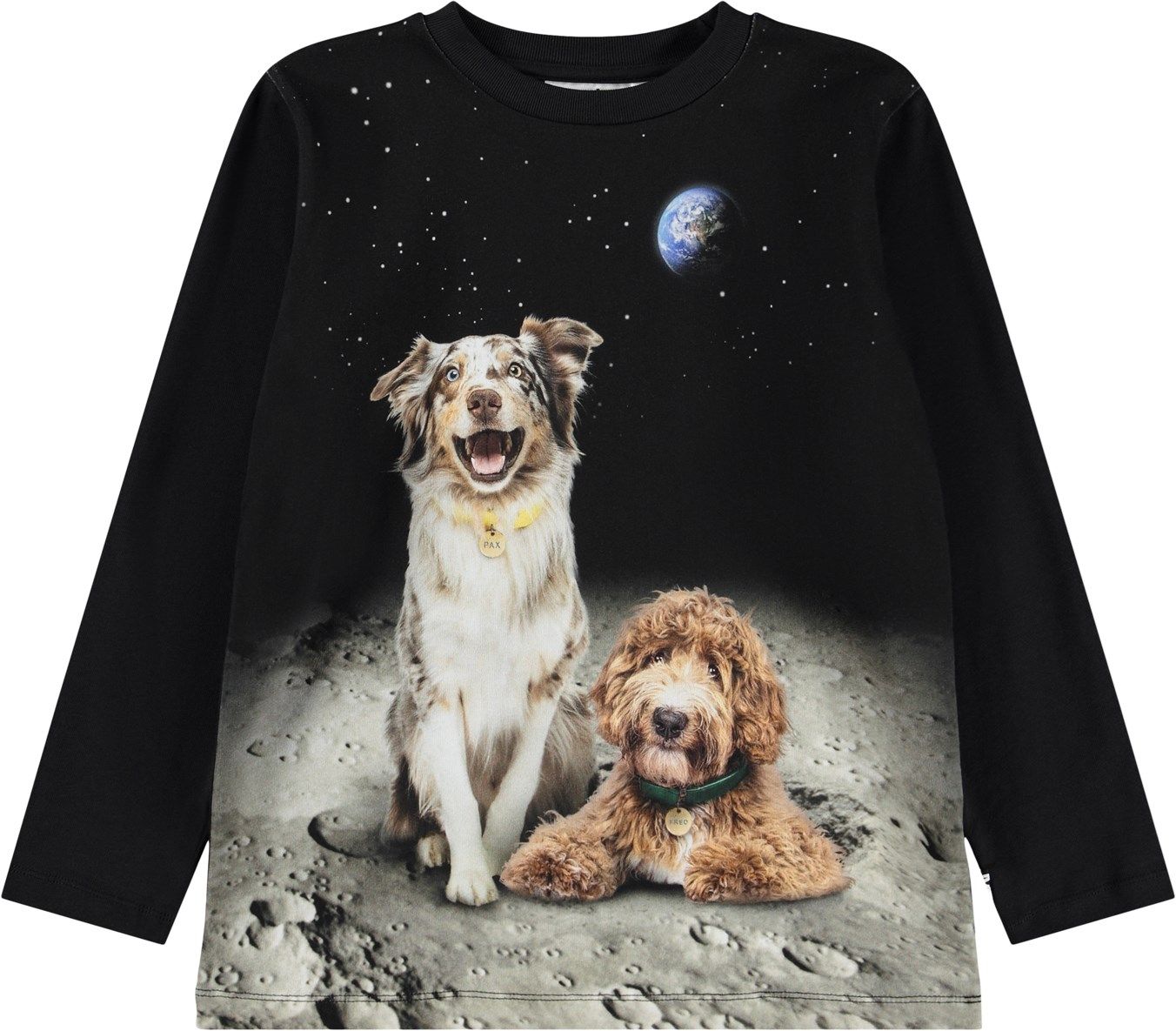 Reif LS Moon Friends