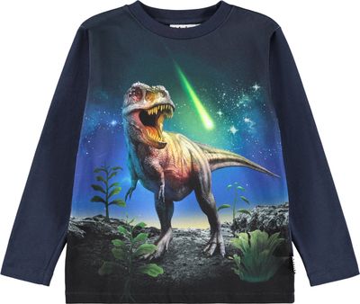 Reif LS Meteor Dino
