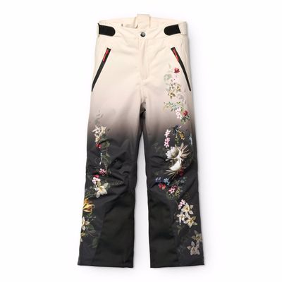 Jump Pro Faded Paisley Ski Pant