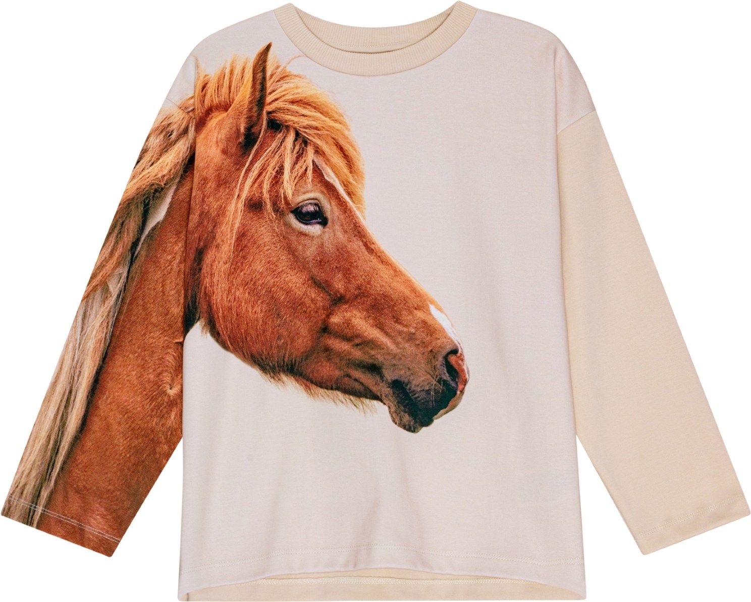 Mountoo Pony Friends