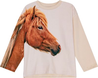 Mountoo Pony Friends