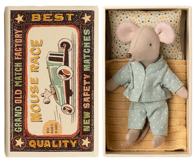Little brother mouse in matchbox