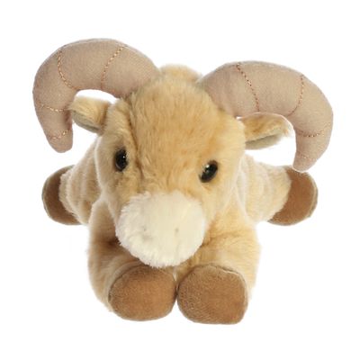 Big Horn Sheep