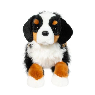 Trooper Bernese MTN Dog