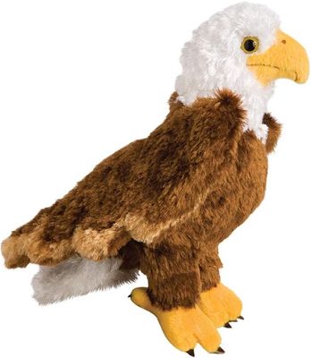 Colbert Bald Eagle