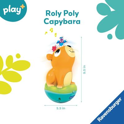 Push &amp; Listen Roly Poly
